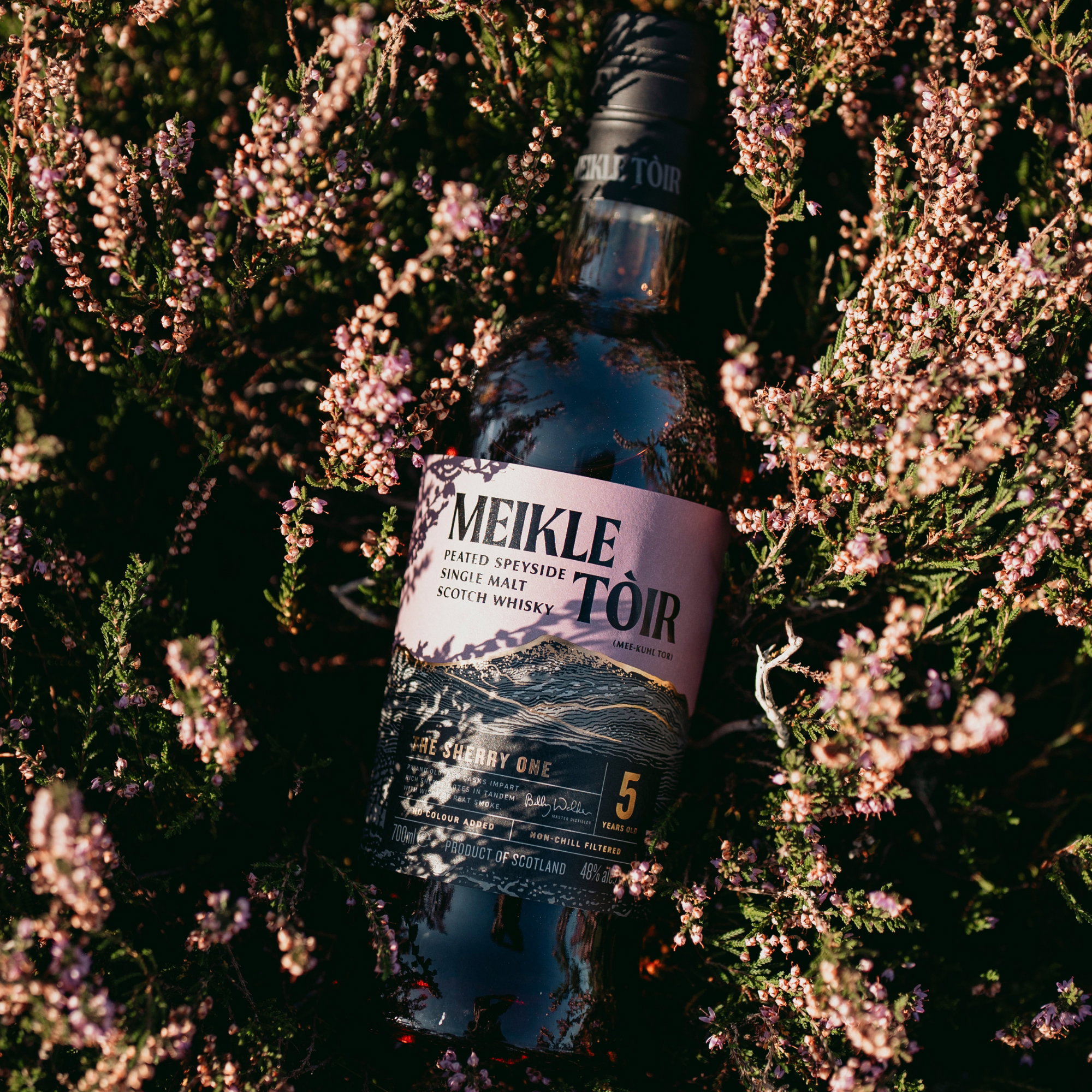 Meikle Toir 5 y.o. The Sherry One - Heavily Peated GlenAllachie / 48% 0,7l 